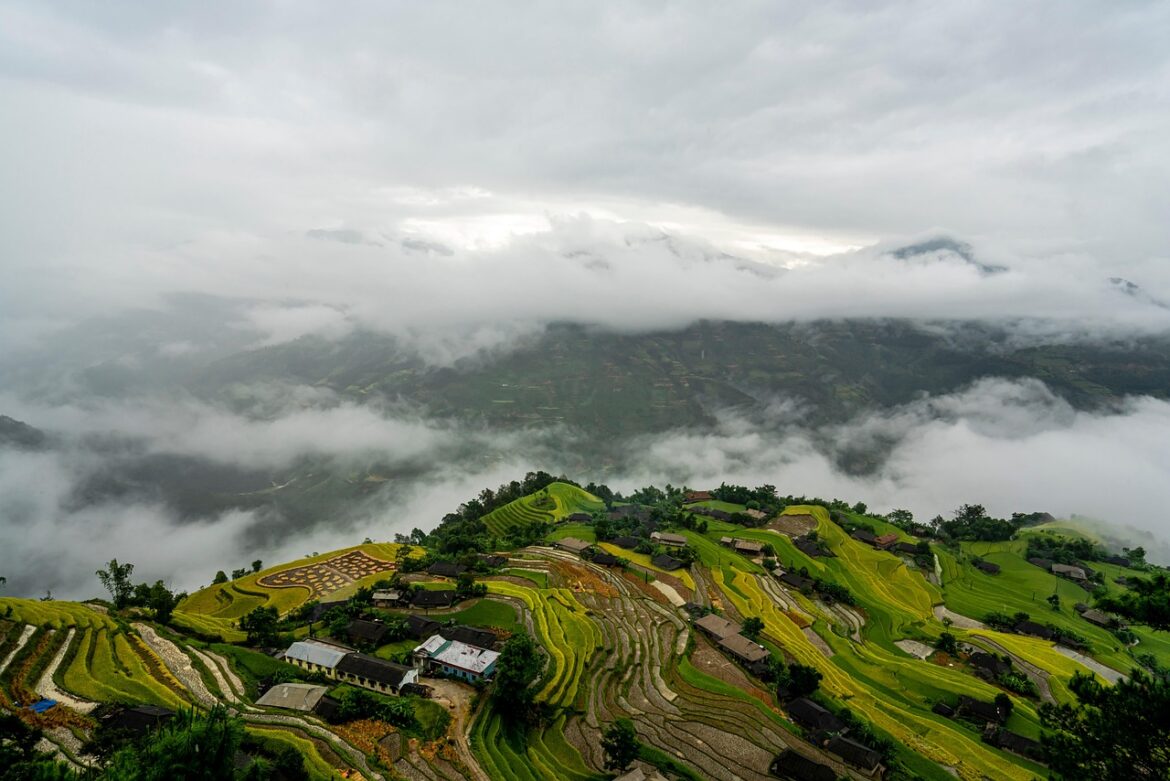 Mastering the Art of the French Press: A Detailed Guide to Perfect Coffee Every Time Mastering the Art of the French Press: A Detailed Guide to Perfect Coffee Every Time