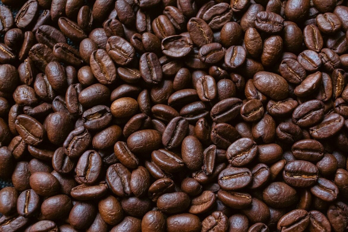 Unlocking the Aroma: Top Choices of Coffee Beans for Beginners Unlocking the Aroma: Top Choices of Coffee Beans for Beginners